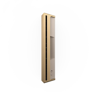 Bang & Olufsen Beosound Level Taşınabilir Multiroom Kablosuz Hoparlör Gold