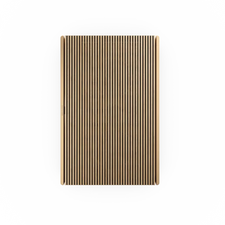 Bang & Olufsen Beosound Level Taşınabilir Multiroom Kablosuz Hoparlör Altın Renk