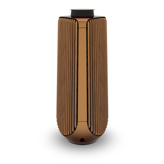 Bang & Olufsen BeoLab 50 Kablosuz High-End Aktif Hoparlör