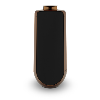 Bang & Olufsen BeoLab 50 Kablosuz High-End Aktif Hoparlör Siyah Renk