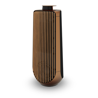 Bang & Olufsen BeoLab 50 Kablosuz High-End Aktif Hoparlör