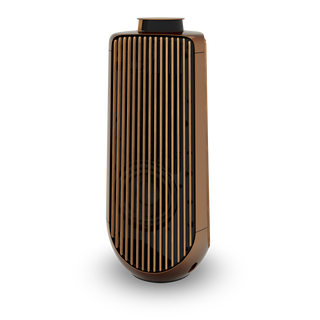 Bang & Olufsen BeoLab 50 Kablosuz High-End Aktif Hoparlör