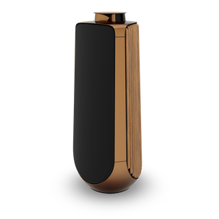 Bang & Olufsen BeoLab 50 Kablosuz High-End Aktif Hoparlör