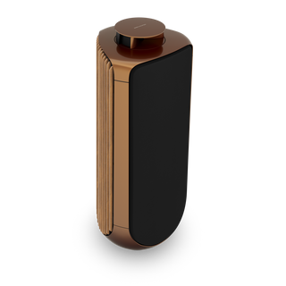 Bang & Olufsen BeoLab 50 Kablosuz High-End Aktif Hoparlör