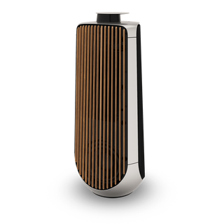 Bang & Olufsen BeoLab 50 Kablosuz High-End Aktif Hoparlör