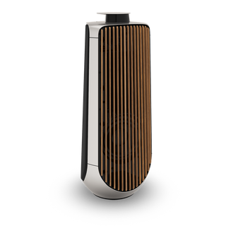 Bang & Olufsen BeoLab 50 Kablosuz High-End Aktif Hoparlör