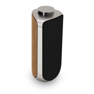 Bang & Olufsen BeoLab 50 Kablosuz High-End Aktif Hoparlör