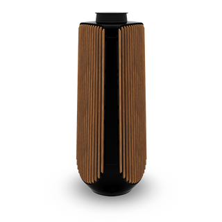 Bang & Olufsen BeoLab 50 Kablosuz High-End Aktif Hoparlör Siyah