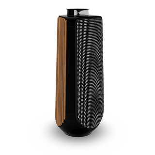 Bang & Olufsen BeoLab 50 Kablosuz High-End Aktif Hoparlör