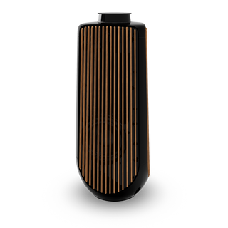 Bang & Olufsen BeoLab 50 Kablosuz High-End Aktif Hoparlör