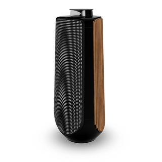 Bang & Olufsen BeoLab 50 Kablosuz High-End Aktif Hoparlör