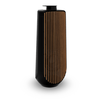 Bang & Olufsen BeoLab 50 Kablosuz High-End Aktif Hoparlör