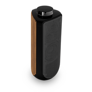 Bang & Olufsen BeoLab 50 Kablosuz High-End Aktif Hoparlör