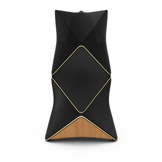 Bang & Olufsen BeoLab 90 Kablosuz High-End Aktif Hoparlör Siyah