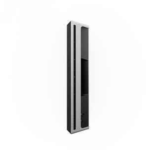 Bang & Olufsen Beosound Level Taşınabilir Multiroom Kablosuz Hoparlör Siyah Renk