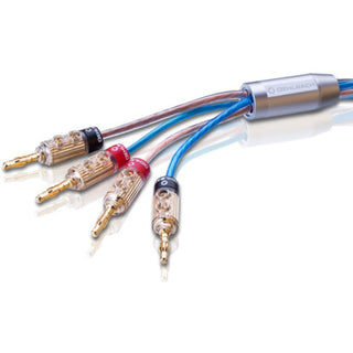 Oehlbach Bi Tech  Siyah Banana Uçlu bi-amping Hoparlör Kablosu 2.5mm² / 4.0 mm²