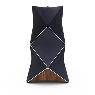 Bang & Olufsen BeoLab 90 Kablosuz High-End Aktif Hoparlör